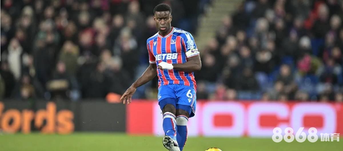 好体育 - 意甲冠名万博体育