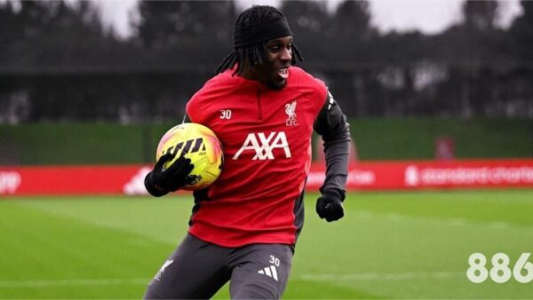 新博狗体育开户：我在准备2026世界杯时发现的意外惊喜