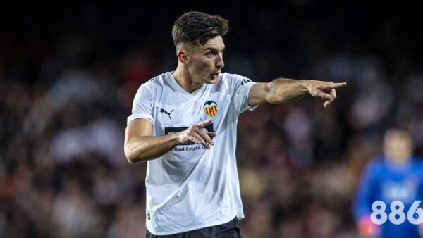 解析乐鱼体育官网网址是多少：一段探索之旅